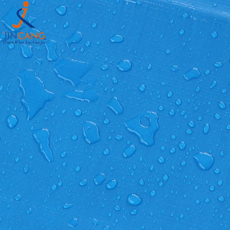 220 г синього білого кольору з друком PE Tarpaulin