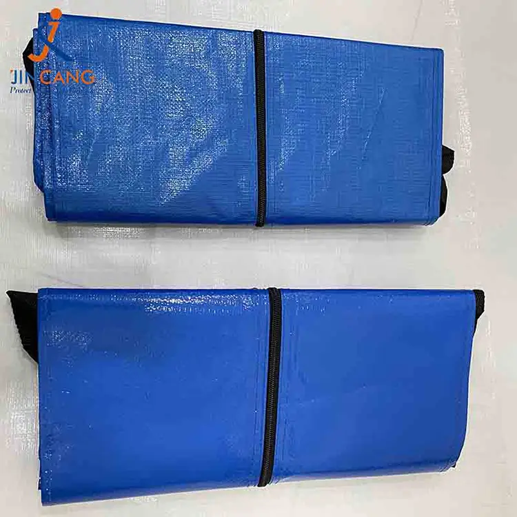 Надзвичайно великі мішки, що рухаються