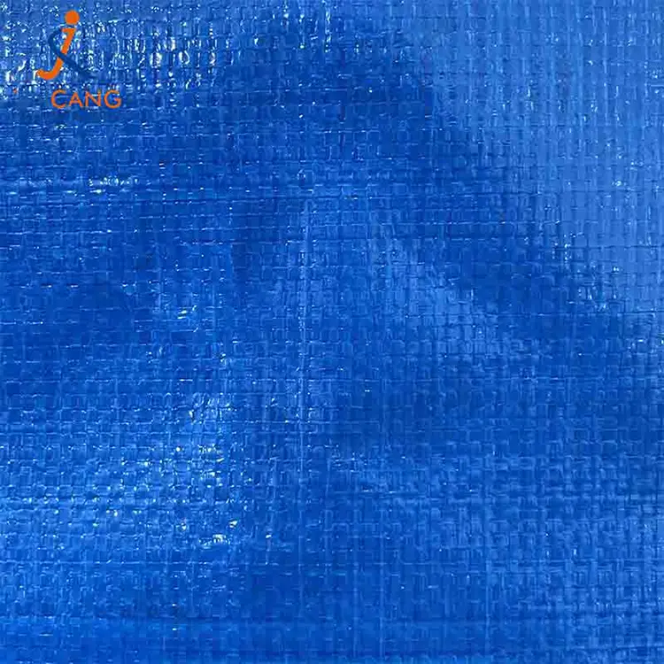 Надзвичайно великі мішки, що рухаються