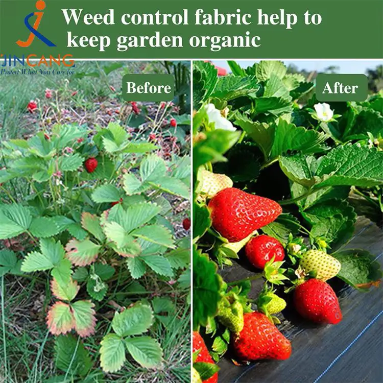 Тканинний килимок для боротьби з бур’янами